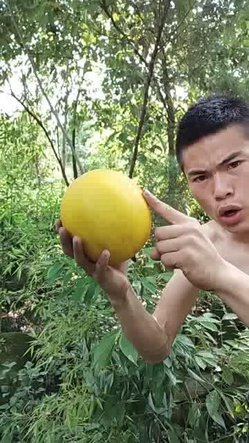 手指瓜的吃功用,美味与健康的双重享受