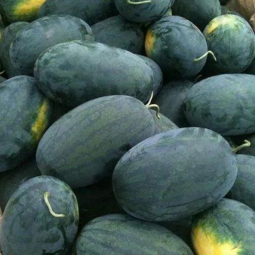 某县吃瓜,揭秘当地特色美食背后的故事