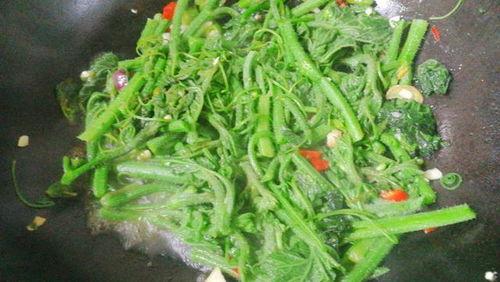 吃小瓜叶花,探寻夏日清新美食的秘密