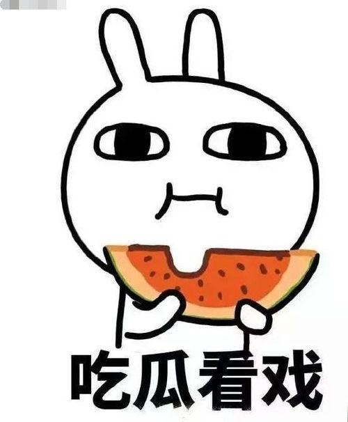 吃瓜炮,网络热词背后的文化现象