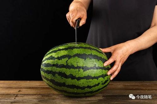 有趣的吃瓜方式,解锁夏日清凉新姿势
