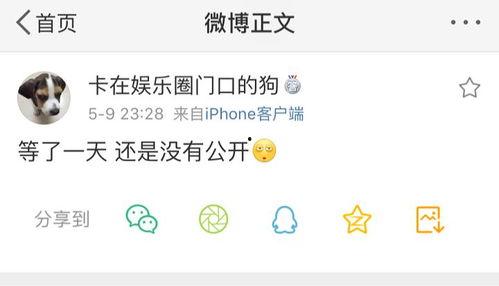 爆料准的吃瓜号,爆料准吃瓜号带你直击明星幕后真相