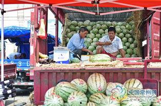 常州工业吃瓜,瓜分市场，共绘繁荣画卷