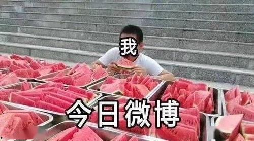 吃瓜观众在线,吃瓜观众视角下的明星幕后故事