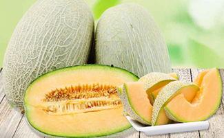 吃蜜瓜喉咙发痒,揭秘夏日消暑美食的隐患