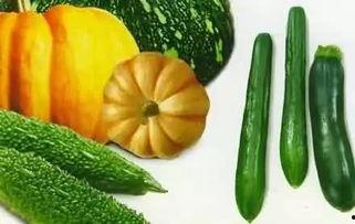 星座吃瓜,揭秘星座背后的趣味吃瓜指南