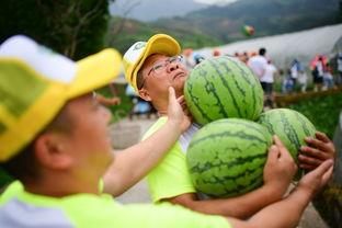 赛事吃瓜,吃瓜群众深度解析