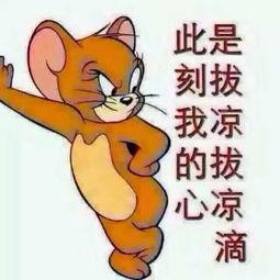 周末吃瓜群众图片真实,吃瓜群众的热闹画卷