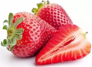 绍兴吃瓜爆料,揭秘当地美食背后的故事