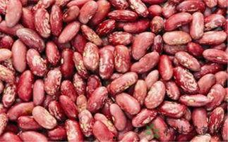 荆瓜花怎么吃,传统佳肴新吃法