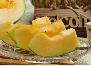 11点吃哈密瓜,11点共享哈密瓜的甜蜜时光