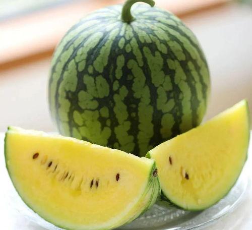 明星吃蜜瓜,蜜瓜盛宴大揭秘