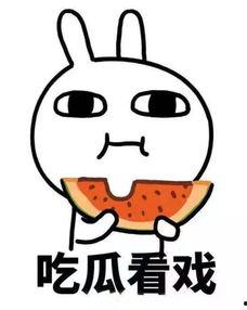 吃瓜姿势已摆好