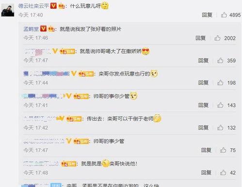 学校吃瓜评论区,揭秘校园吃瓜评论区背后的热点风云