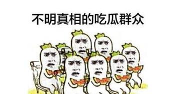 回帖吃瓜群众,回帖背后的故事与真相