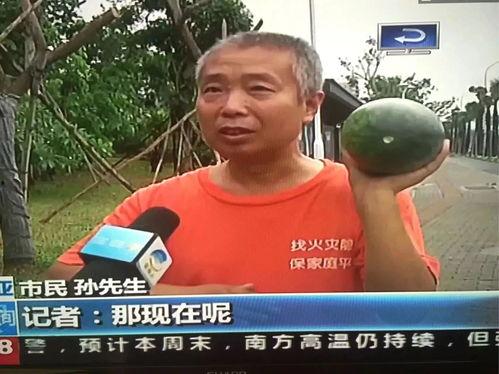 全球最热吃瓜事件