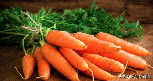 瓜妈吃胡萝卜,瓜妈的胡萝卜美食之旅