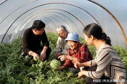带奶奶吃瓜趣事,温馨回忆里的甜蜜时光